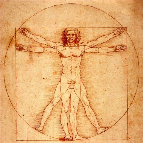 El hombre de Vitruvio