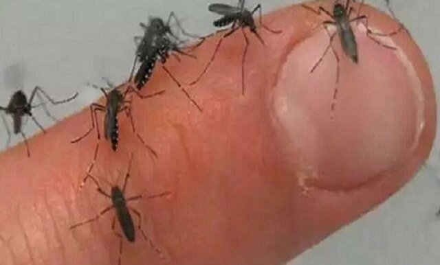 Como son las despedidas y como es la vida en el campo