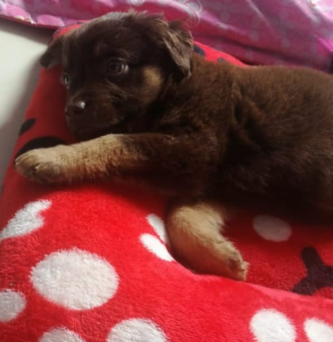 Mi cumpleaños numero 13