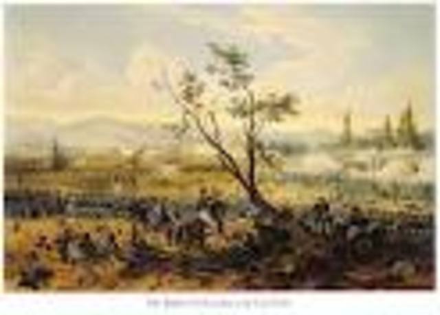 FIGHT BREAKS OUT AT THE  BATTLE OF SAN JACINTO