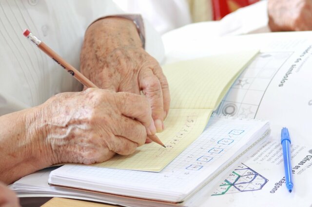 Integración social y habilidades funcionales en adultos mayores.