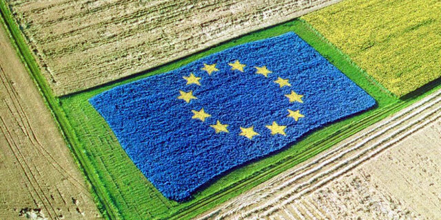 Primera política agrícola común