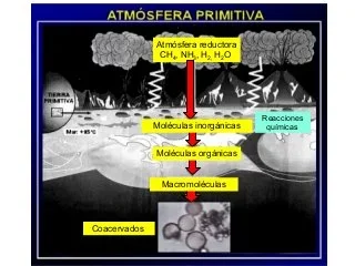 La atmosfera reductora de la tierra primitiva