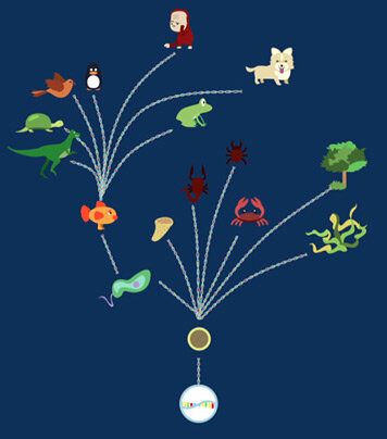 Teoría del mundo del ARN