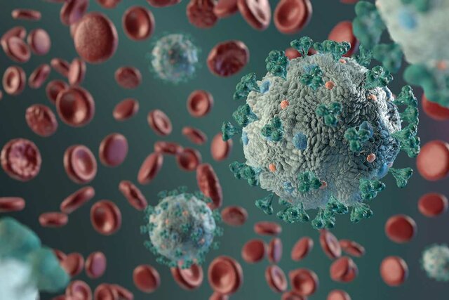 Se inicia el uso de interferones en el trata- miento de enfermedades víricas.