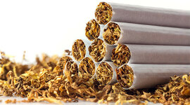 Timeline: Tobacco history