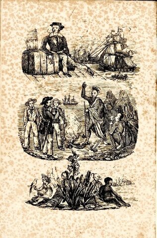 Первая табачная плантация