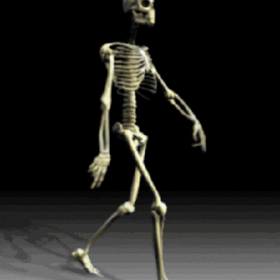 Timeline: Časvni trak zgodovine