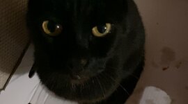 Timeline: Časovni trak zgodovine