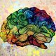 Cerebro coloreado