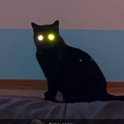 Timeline: History of Healthcare Muraski