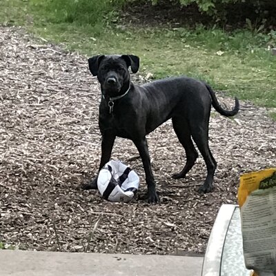 Timeline: History of healthcare Reynolds