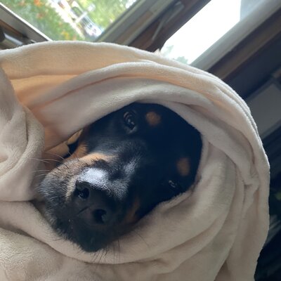 Timeline: History of healthcare edwin