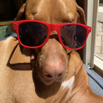 Timeline: History of healthcare - Mittag