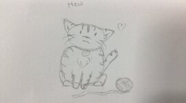 Timeline: History of Healthcare Lee