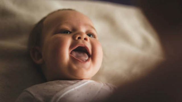 Colombia (Muñoz y Pachón)