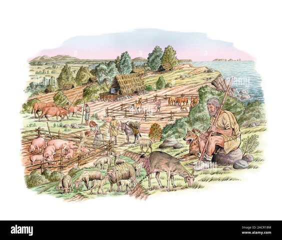 Edad de Bronce Media