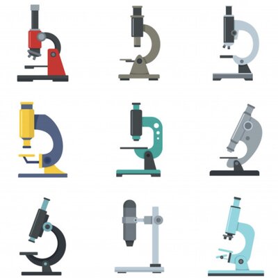 Timeline: Tipos de microscopios ópticos
