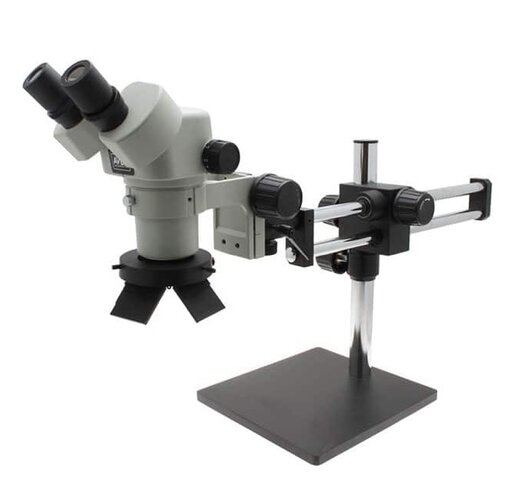Microscopio binocular