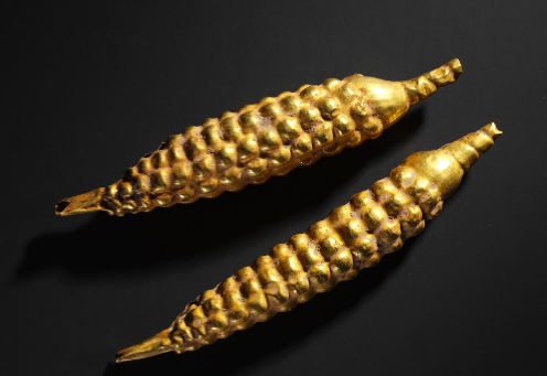 Maize cultura Carchi-Ecuador