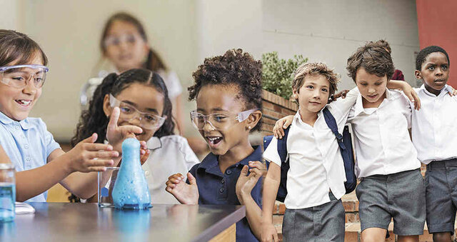 REVISIÓN SISTEMÁTICA  DE LA LITERATURA COMPARACIÓN ENTRE EDUCACIÓN SEPARADA POR SEXOS Y COEDUCACIÓN