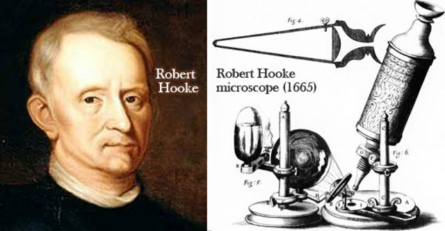 ROBERT HOOKE