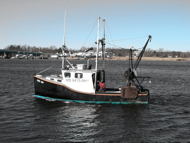 proffessor saw the fishing boat