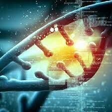 20th and 21st century TOP