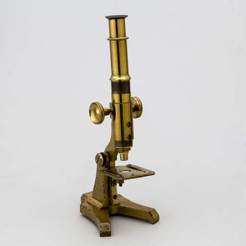 MICROSCOPIOS COMPUESTOS