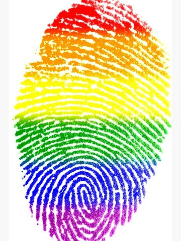 Activismo y Prácticas Digitales en la Construcción de una Esfera LGTB en España