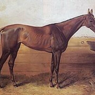 Timeline: Ebeczki Blaskovich Ernő