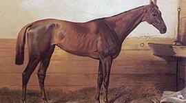 Timeline: Ebeczki Blaskovich Ernő