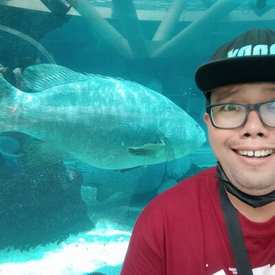 Timeline: My Media Timeline