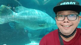 Timeline: My Media Timeline