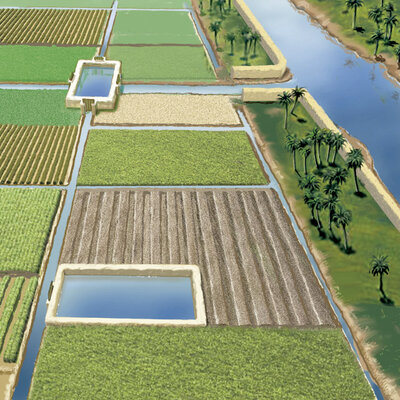 Timeline: Historia de la Economía