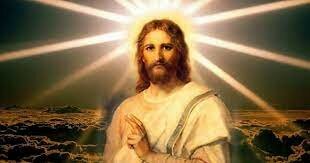 Stopped the study of medicine, why?