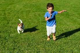 getting chased by a dog