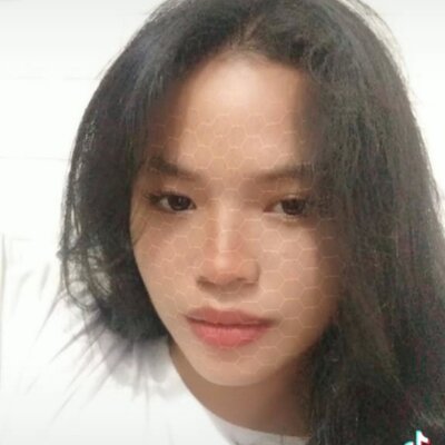 Timeline: Timeline Every year