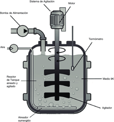 Biorreactor de tanque agitado