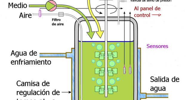 Biorreactor y antibióticos