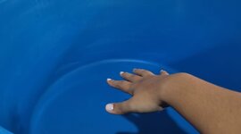 Timeline: Las Tortas de la Negra