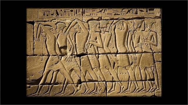 Código de Bocchoris