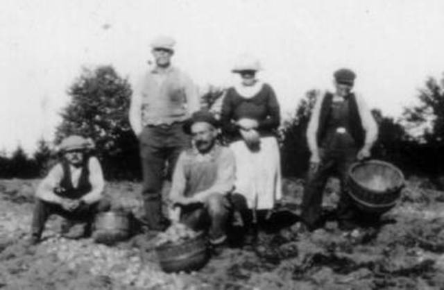 Farmers profited from the booming economy of WW1