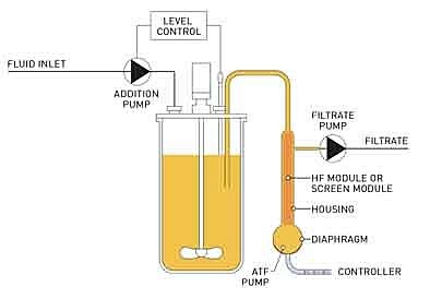 Biorreactor semicontinuo