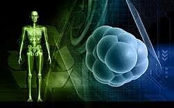 Biorreactor para cultivo de células madre humanas