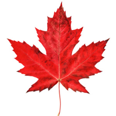 13 million Canadians,