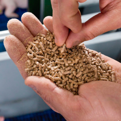 Timeline: Idea de negocio: Alimentos balanceados