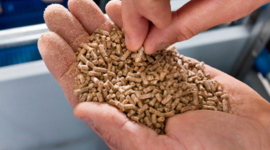 Timeline: Idea de negocio: Alimentos balanceados