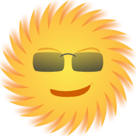 prof. took a sun bath