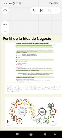 Perfil de la idea de negocio